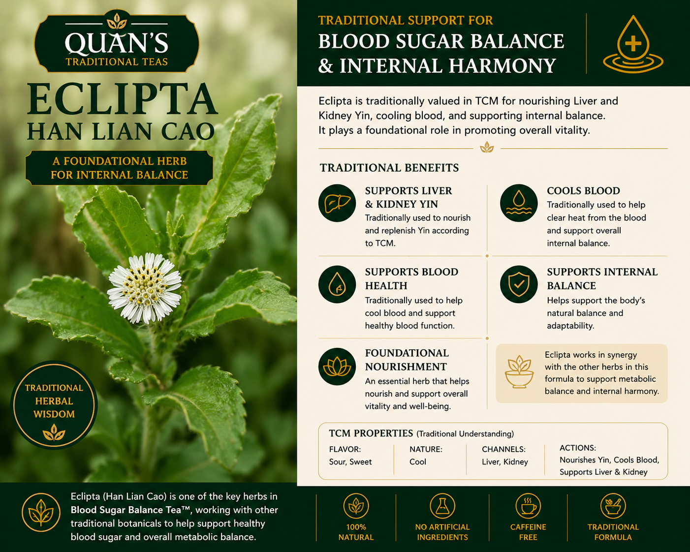 Blood Sugar Balance Tea