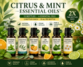 Citrus & Mint Essential Oils™ Variety Pack 120ml