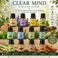 Clear Mind Essential Oil Collection™