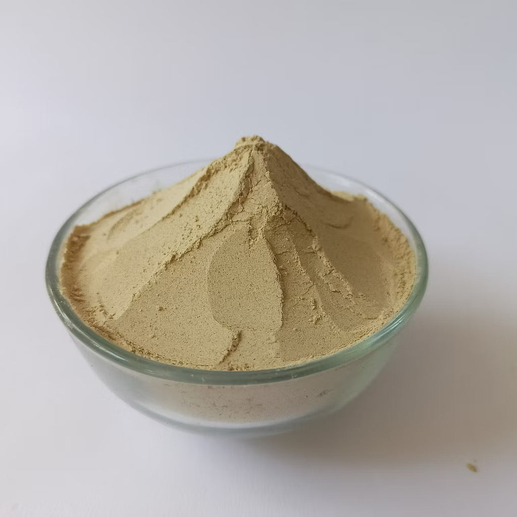 White Turmeric Powder 10 lb / 4500g ( Curcuma Zedoaria )