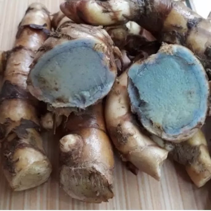 Temu Ireng Powder 10 lb / 4500g ( Curcuma Aeruginosa Powder )