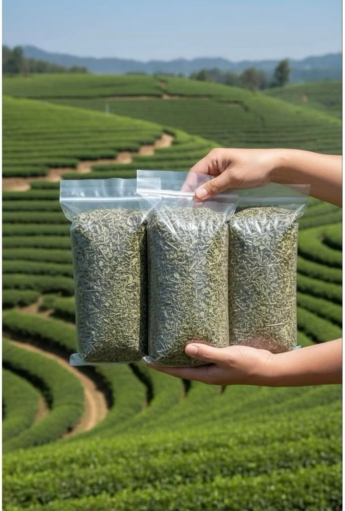 Green Tea Powder 10 lb / 4500g ( Camellia Sinensis )